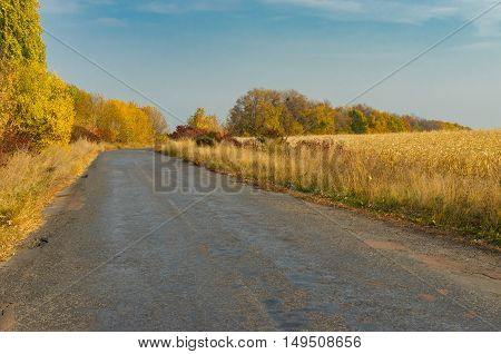 Empty rural road at fall season in Sumskaya oblast Ukraine