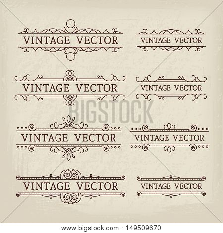 Calligraphic design elements. Vector set of vintage page decorations