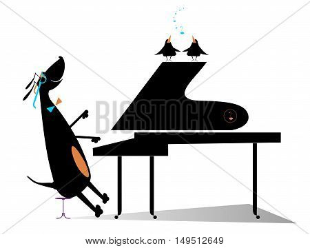 Dog a pianist. Comic dog plays music by piano and birds pipe