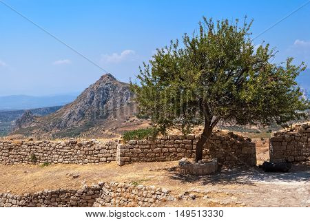Lonely tree growing among the ruins of an old fortress Acrocorinth ancient against the blue sky and high mountains.