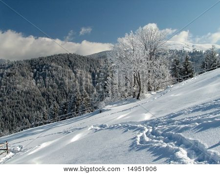 Paesaggio rurale - montagne