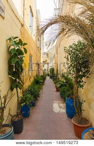 Traditional narrow street in Malta. Maltese architecture in Valletta, Malta