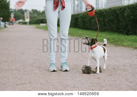 Girl gesturing outdoor with a dog at the leash. Communication concept.
