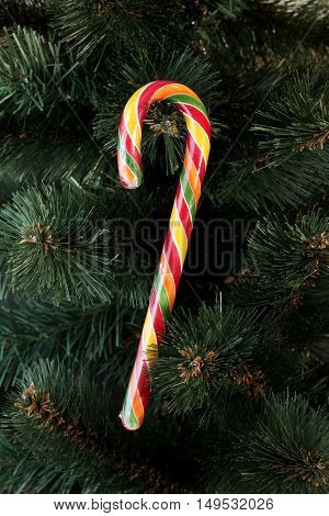 Bright color striped candy cane decoration on Christmas tree