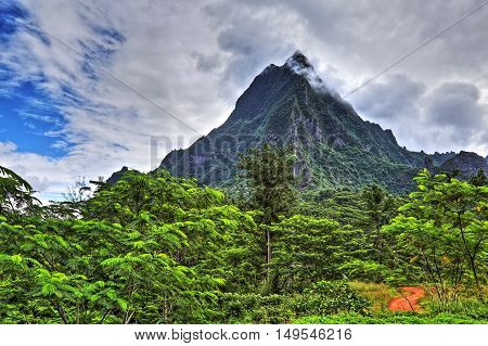 HDR image of the interior of the island of Moorea in the French Polynesia with her exuberant vegetation and mountains.