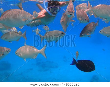 Man with black hair has been snorkeling on the island of San Andres in the Caribbean sea. He feeds the fish under water in clear blue sea.