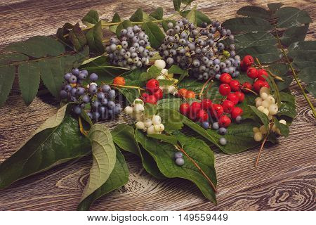 berries and leaves on a wooden table. vintage