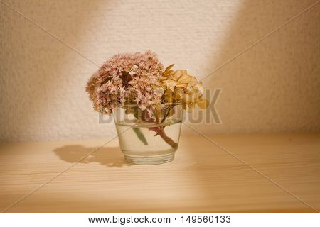 botanical water in glass on table .