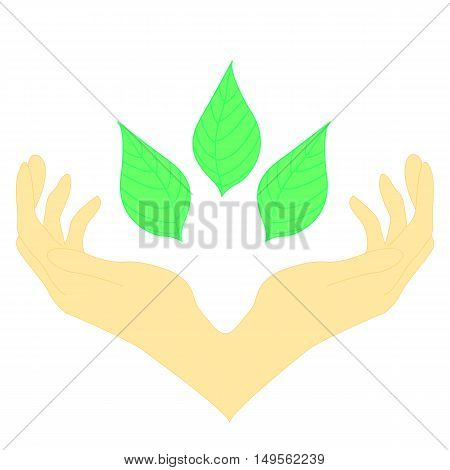 two hands surrounding green leaves. Сoncept of wellness, protecting nature, also represents concepts like environment protection, spa resorts.