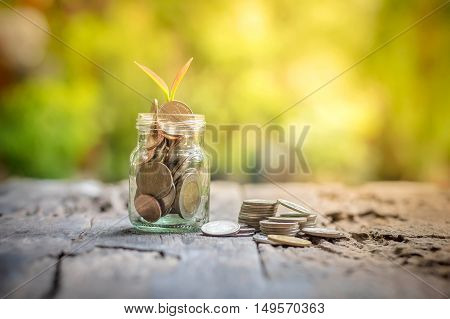 Plant growing in saving coins and money coins in the bottle on wooden background