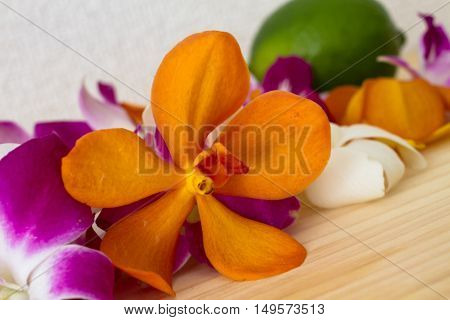 tropical flower on wood table . .