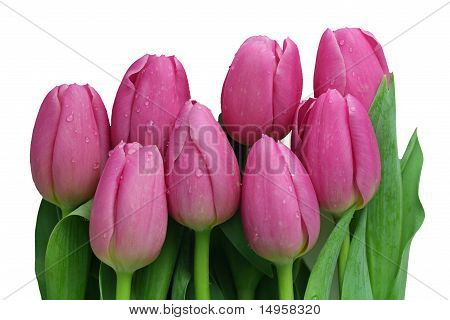 Een roze Tulip boeket