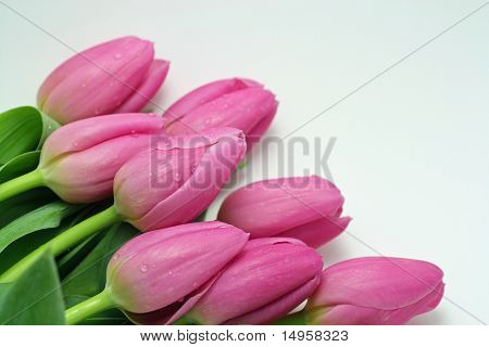 Roze Tulip boeket