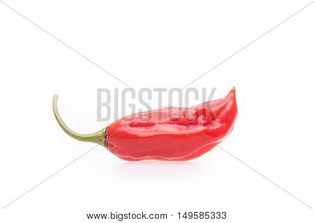 Naga Morich Chili Pepper