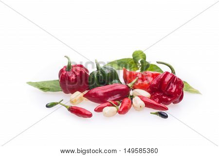 Mixed Hot Chili Peppers