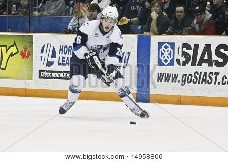 Western Hockey League (whl) hra