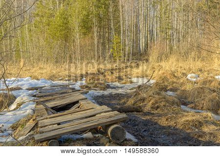 broken spring forest path through the swamp on a sunny day Ural Siberia