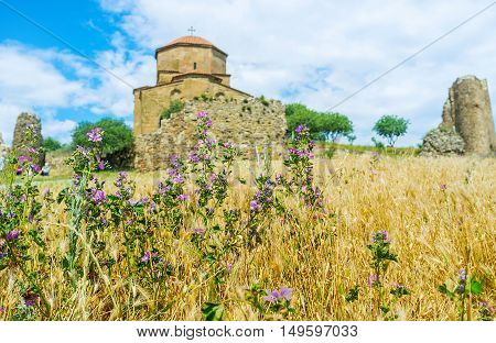 The view on the Jvari Monastery through the wildflowers and the ears of wheat covering the mountain where the medieval monastery is located Mtskheta Georgia.