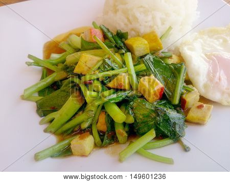 Stir Fried Chinese Kale With Tofu In White Plate.. Vegetarian Food, Healthy Food.