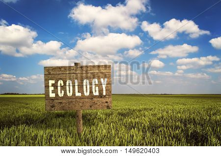 Wooden sign on field of rye for ecolgy message.