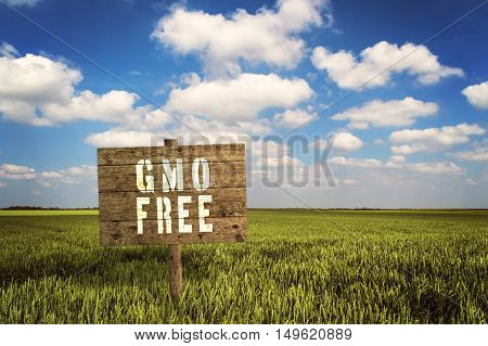GMO FREE sign on field of rye. Selective focus.