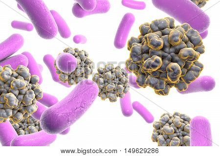 Bacteria and hepatitis E viruses isolated on white background, 3D illustration