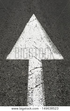 White forward road sign on the asphalt road