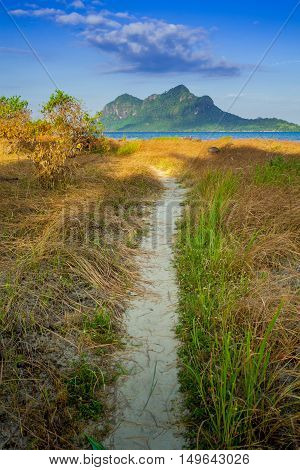 Landscapes On An Island