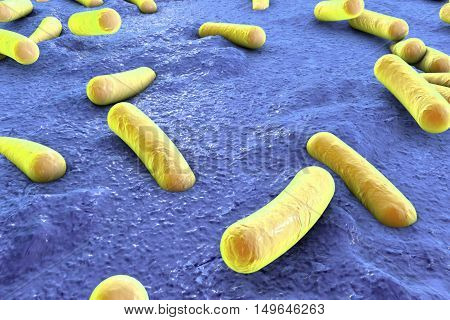 Bacteria on surface of skin, mucous membrane or intestine, model of Escherichia coli, Salmonella, Mycobacterium tuberculosis, simulating electron microscope, 3D illustration