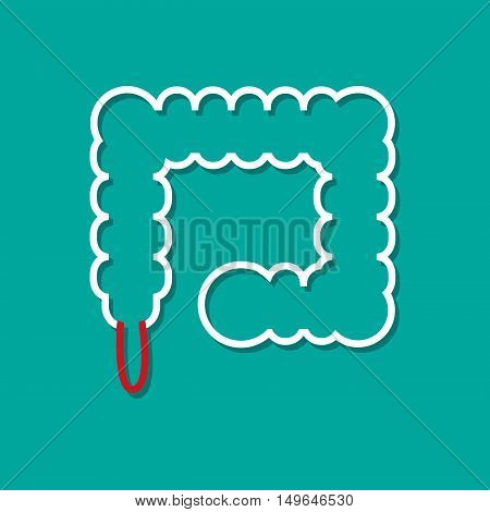 Inflamed appendix in flat style vector design