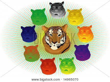 Flerfarvede tigre
