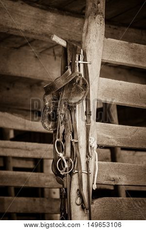 Various horse tack items hang in a stable.