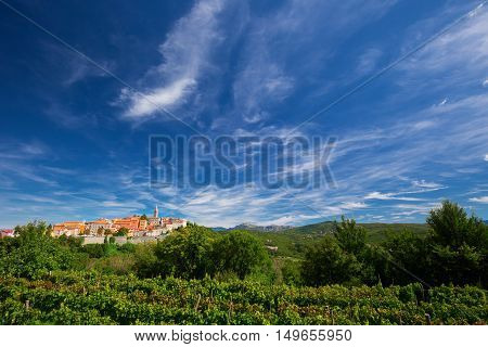 Old Village With Vineyard, Blue Sky And Mountains In Labin, Istria, Croatia