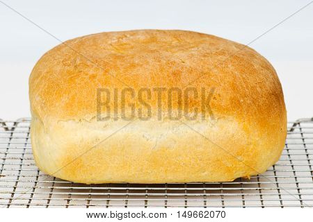 Fresh Bread
