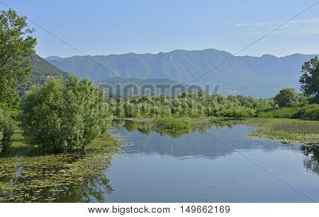 An inlet of Skadarsko Jezero or Skadar Lake by the small town of Virpazar in Montenegro