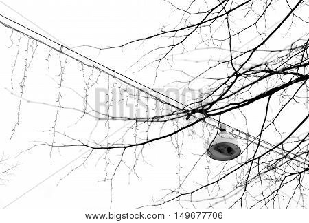 Black and white lamp and light chains