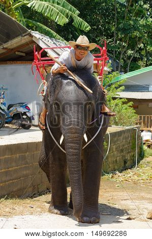 a man riding on elephant on Phuket Island in Thailand