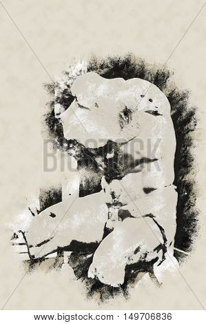 Belvedere Torso in Vatican Museums in Vatican. The ancient statue is a fragment of a nude male statue admired by Michelangelo and Raphael. Modern painting, background illustration.