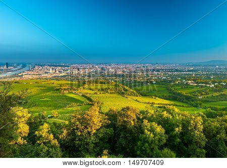 Beautiful view of skyline of Vienna and Danube River with green trees of Doebling district, Austria. Travel photo of the landmark.