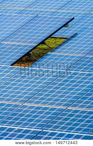 Vertical shot of Solar cell panel on the ground