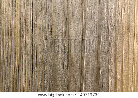 Wood texture timber, lumber, hardwood, structure, pattern