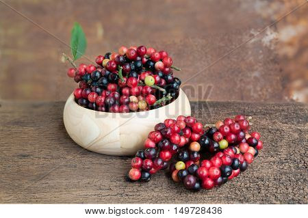 Closeup Fresh Mak Mao Or Thai Blueberry, Local Fruit In Northeastern
