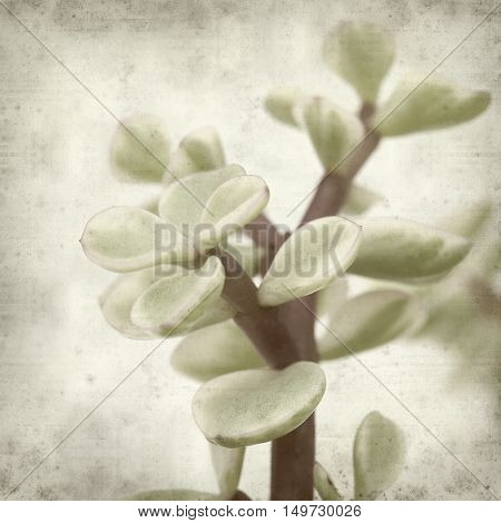 Textured Old Paper Background