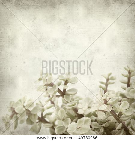 Textured Old Paper Background