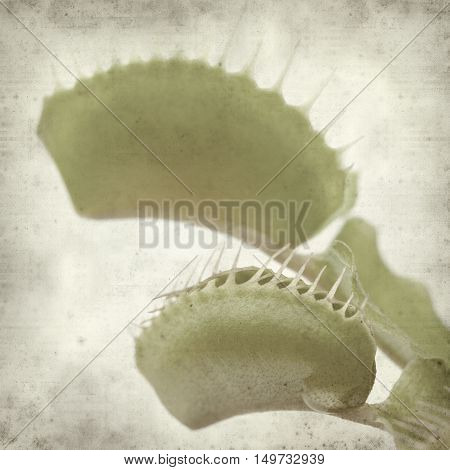 Textured Old Paper Background