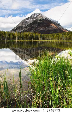 Mountain Views