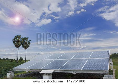 Panel Solar Energy Natural evolution towards energy conservation sustainable world environment.