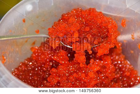 Caviar close-up in a spoon and a bucket. Pails with caviar in which spoon is filled with caviar. Each berry glows like a little emerald. Vladimir market. Kiev. Ukraine. 09/30/2016