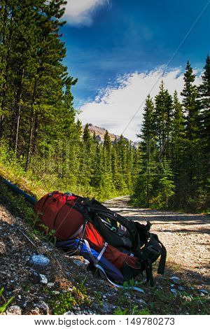 Summer In The Mountains