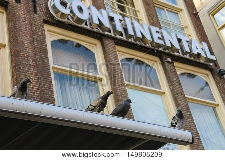 Amsterdam the Netherlands - October 03 2015: Pigeons sitting on the roof of Hotel Continentall in historic part of Amsterdam
